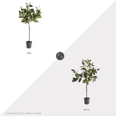 McGee and Co. Faux Bayleaf Tree $120 vs. Birch Lane Bayleaf Drop-In Tree Planter $84, faux bayleaf look for less, copycatchic luxe living for less, budget home decor and design, daily finds, home trends, sales, budget travel and room redos