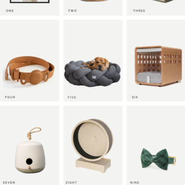 Holiday Gifts for all types of pets | Copy Cat Chic favorites for 2021 quality, minimalist, modern, practical, reasonably-priced, curated gift ideas for dogs, cats, and fish this holiday season! | Luxe living for less